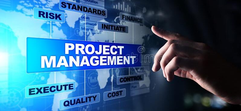 Project Manager